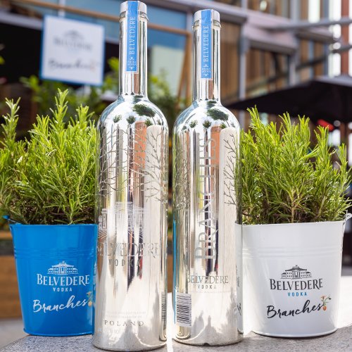 Belvedere: drink green