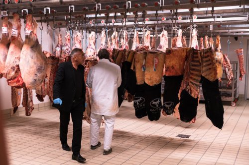 Il (ri)cercatore di carne Massimo Minutelli