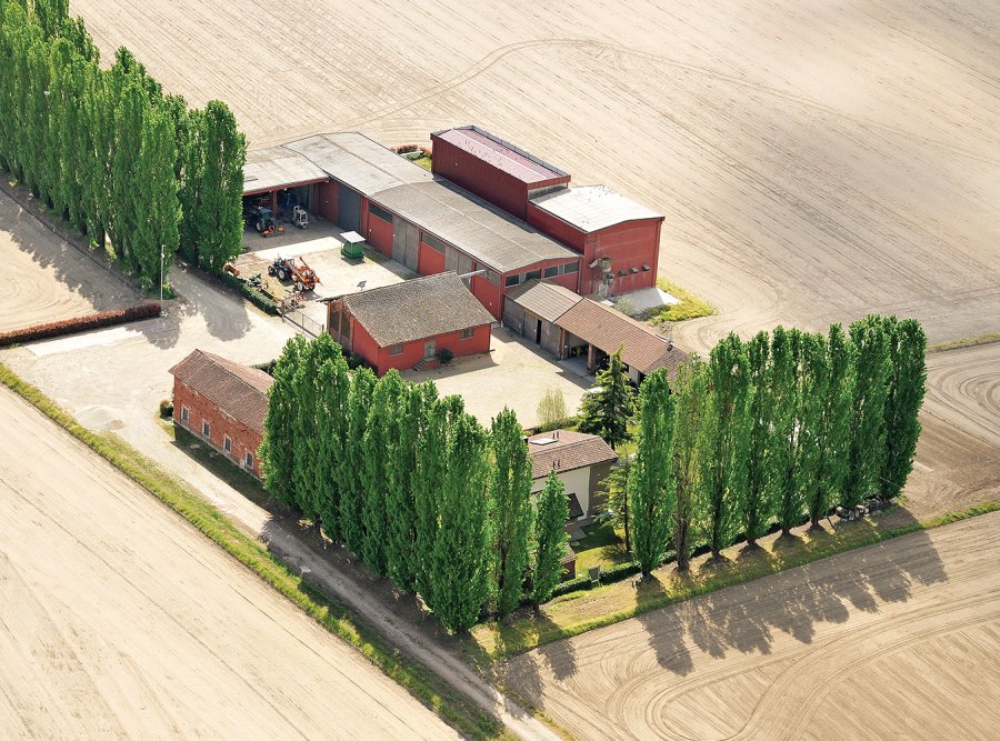 CASCINA ALBERONA, Azienda Agricola Ferraris